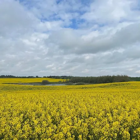 Vakantiehuis 6 Person In Thisted-by Traum *